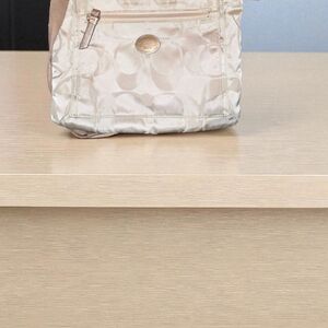 Coach Cream Signature Backpack